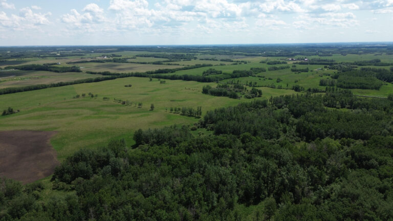 Overview of the area